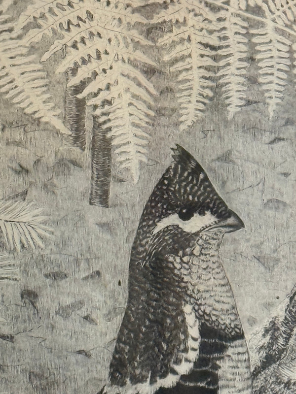 Framed Grouse etching "Woodland Prince" by Walter Bohl
