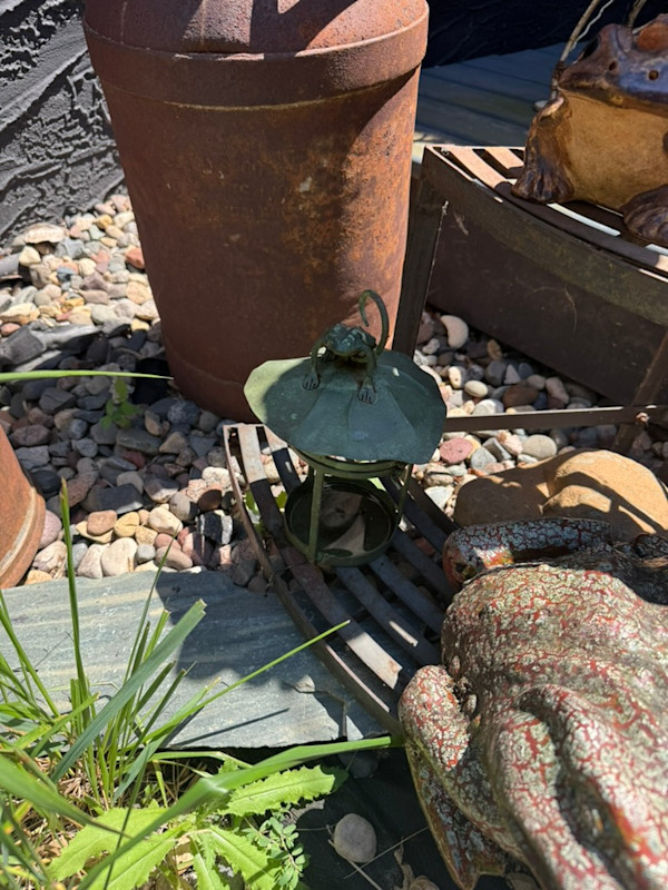 small frog lantern