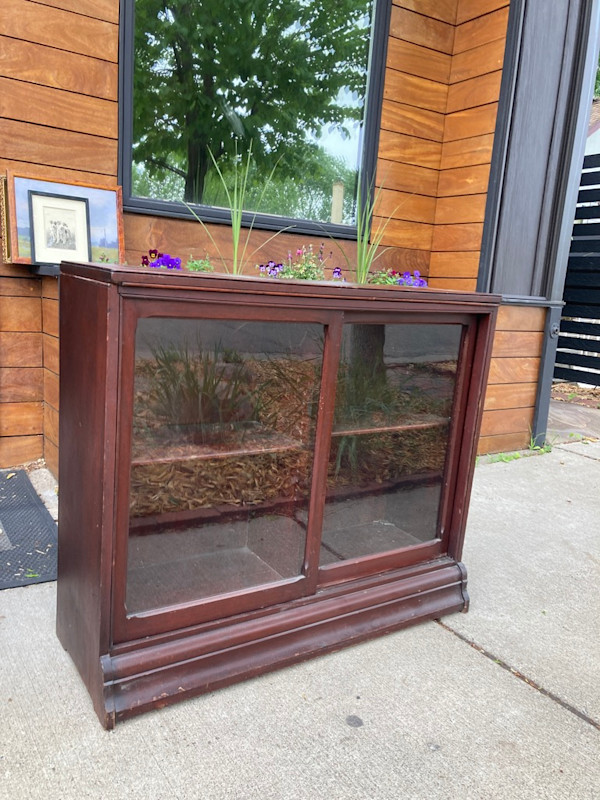 Mahogany low bookcase with sliding glass doors