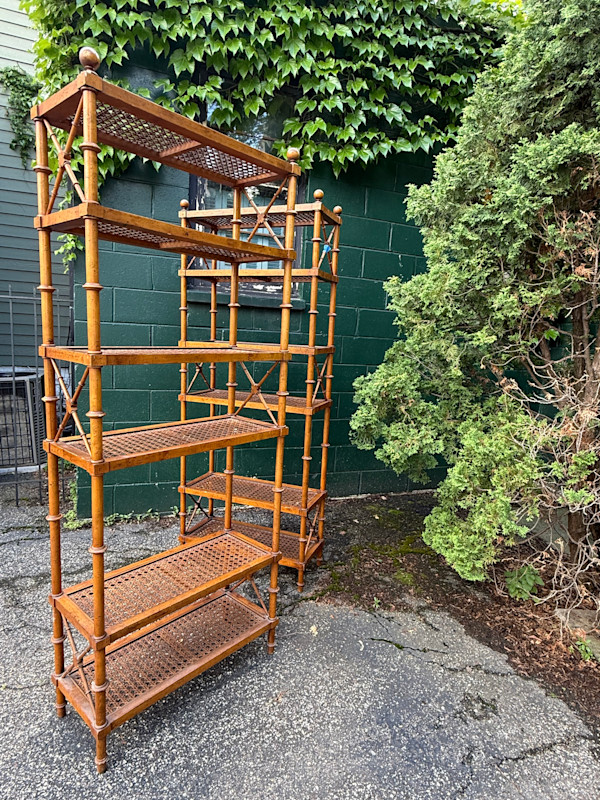 Pair of regency style bookcases
