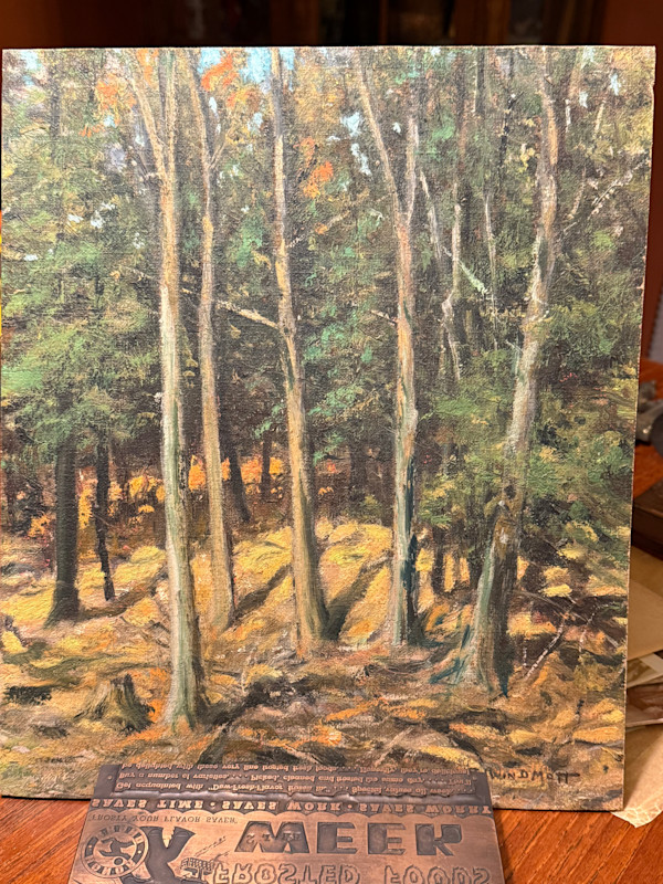unframed oil on board landscape of pine trees