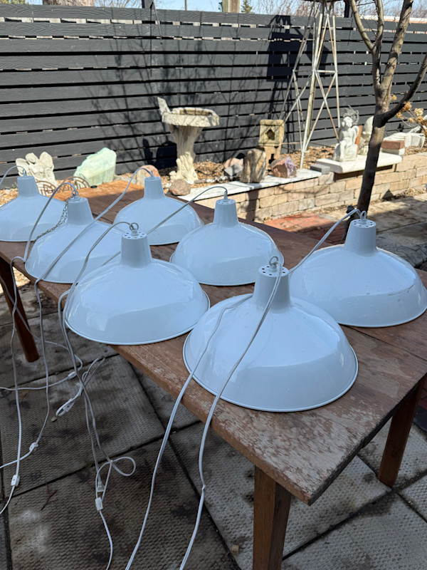 Metal industrial hanging light