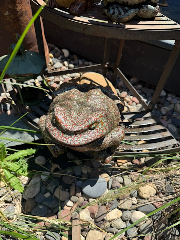 large ceramic frog