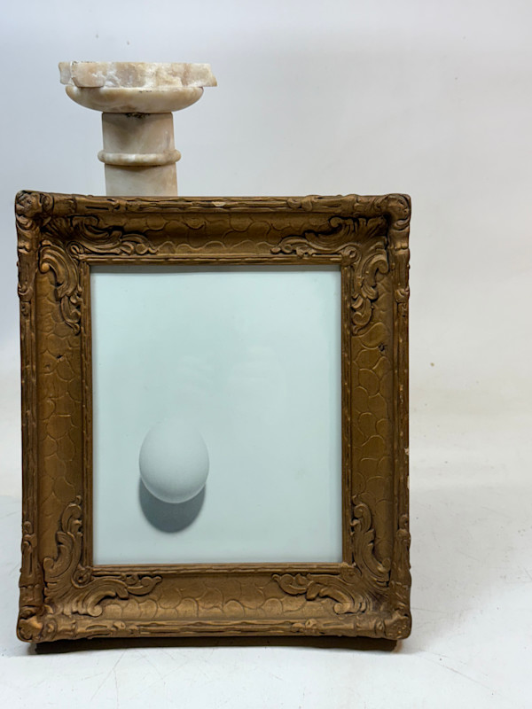 Framed photograph of an egg