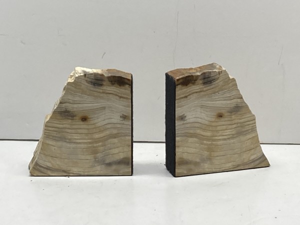 Petrified Sequoia bookends