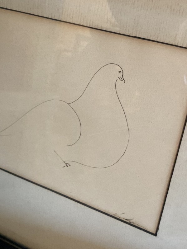 Original ink drawing of dove