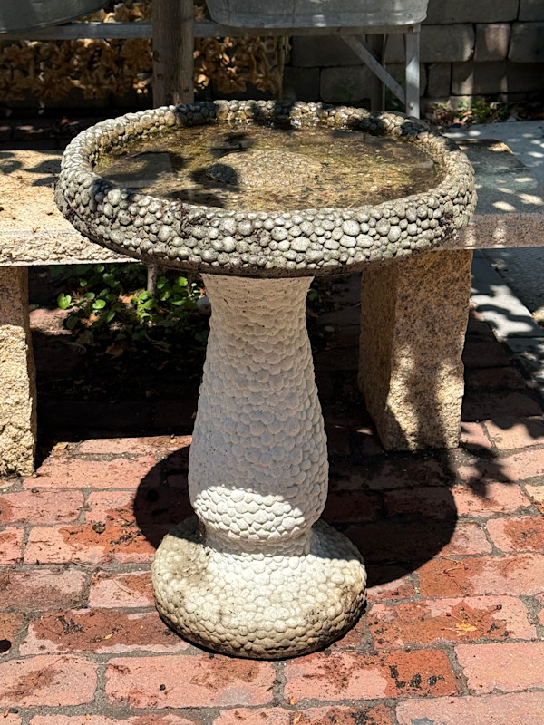 Cement bird bath