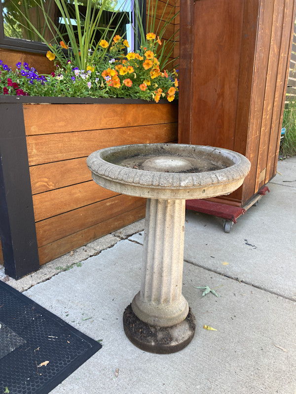 bird bath
