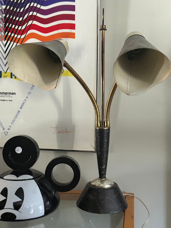 goose neck desk lamp with black shades