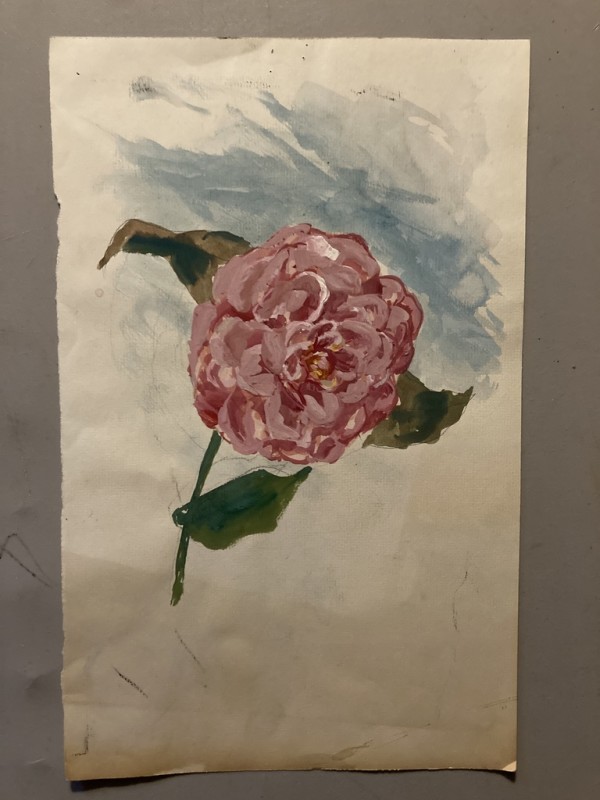 Unframed Elizabeth Grant watercolor carnation