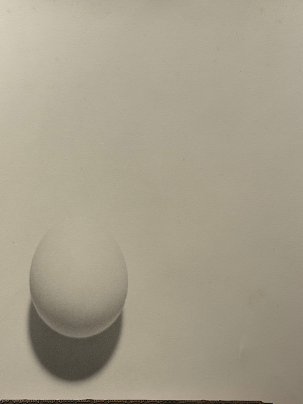 black and white photograph egg on white