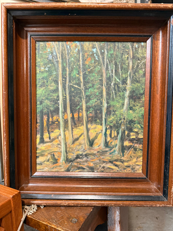 framed oil on board landscape of pine trees