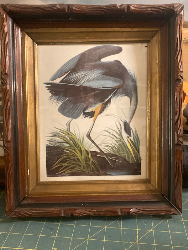 1941 James Audubon Heron lithograph
