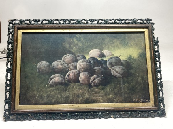 turn of the century lithograph of plums