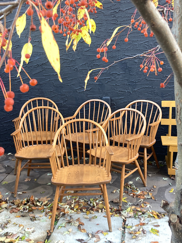 Set of 6 oak Windsor arm chairs
