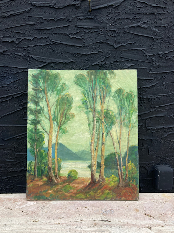 original painting on canvas trees with lake and mountains #54