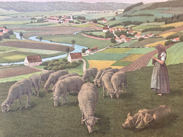 sheep lithograph  #130