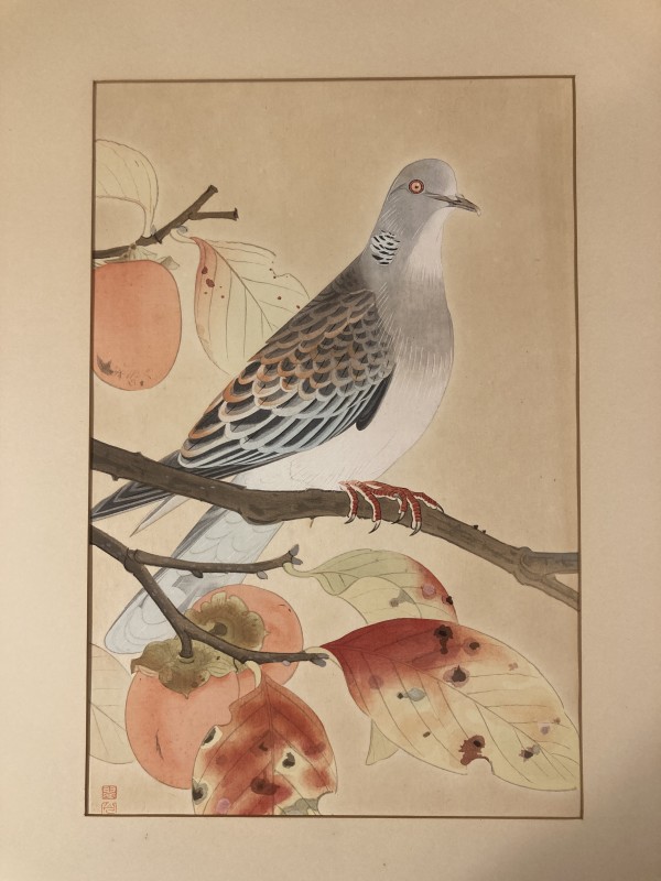 framed vintage Japanese woodblock of Persimmons and turtle dove