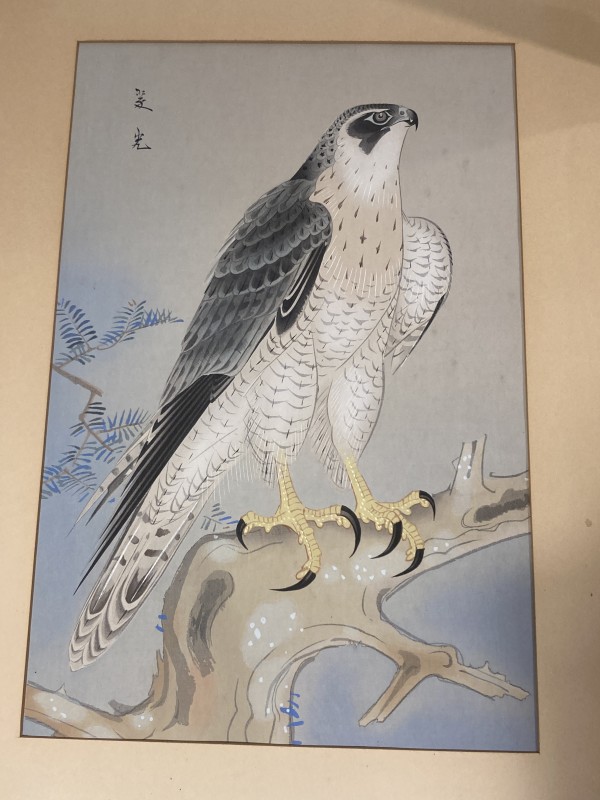 framed vintage Japanese woodblock of a falcon
