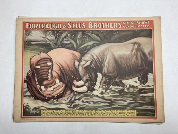 unframed 1960's Circus print with hippo on board