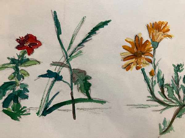 unframed still life watercolor by Connie Goldman