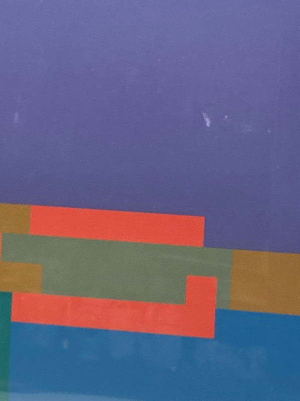 limited edition serigraph (silkscreen) ~ Robyn Denny