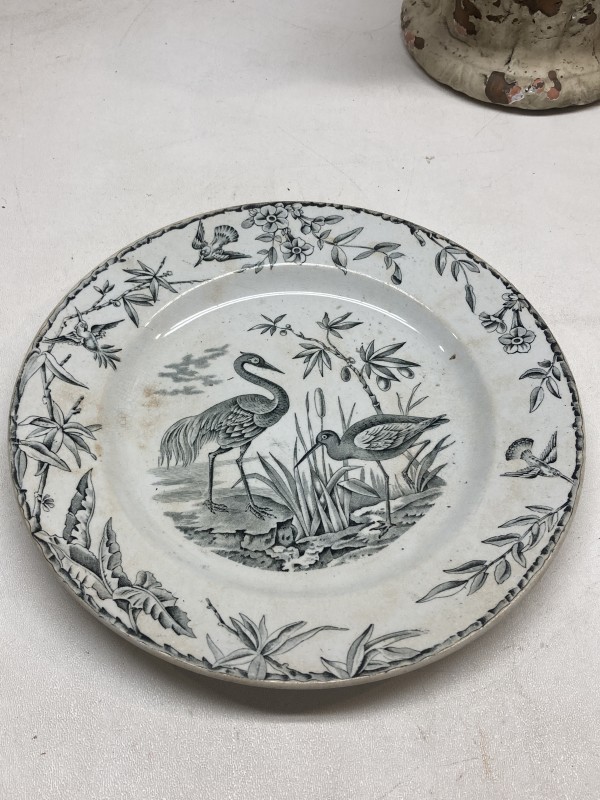 Early Heron transfer plate