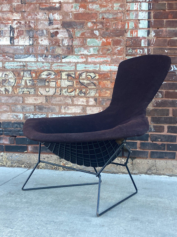 Bertoia Bird Chair