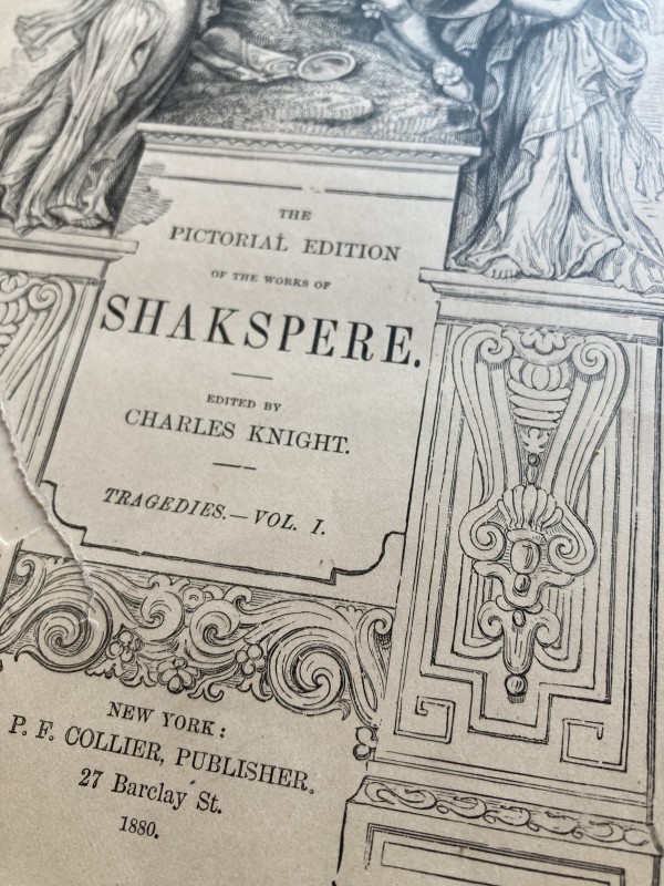 Shakespeare 1880 volume