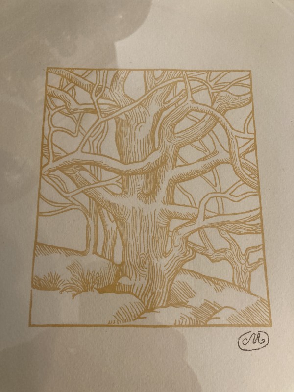 Framed modern tree wood block by Aristide Maillol