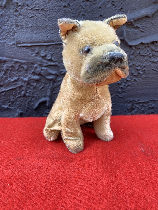 stuffed Steiff mohair seated boxer