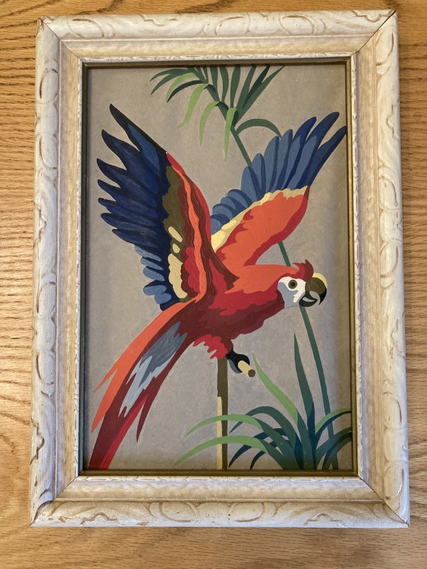 Parrot painting