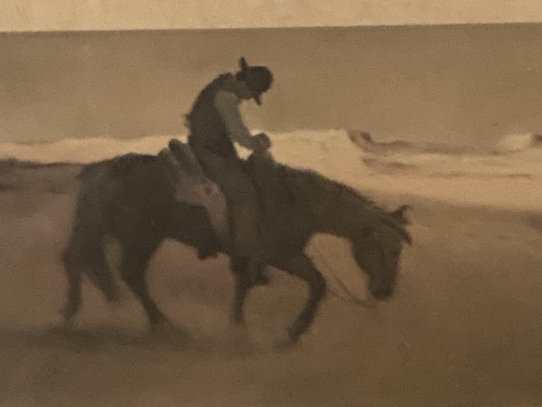 cowboy on horseback