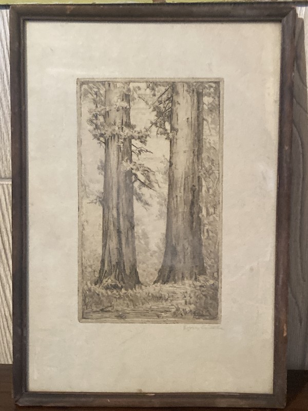 framed tree etching