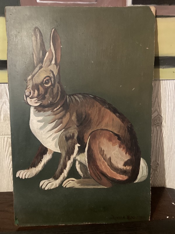 Jack rabbit painting on board