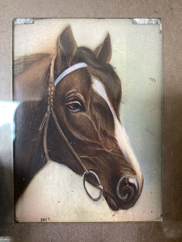 hand painted horse portrait