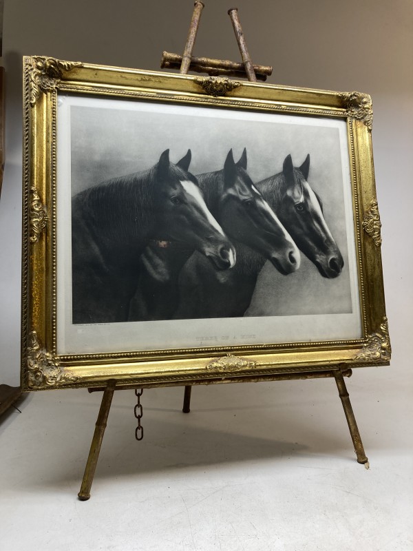 Framed engraving of 3 horses