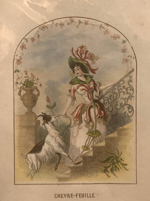 hand painted engraving of Flower people