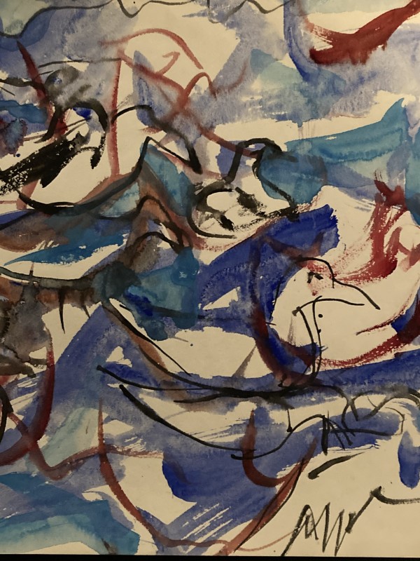 Seagull watercolor by James Quentin Young