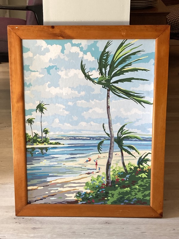 Framed tropical paint by number