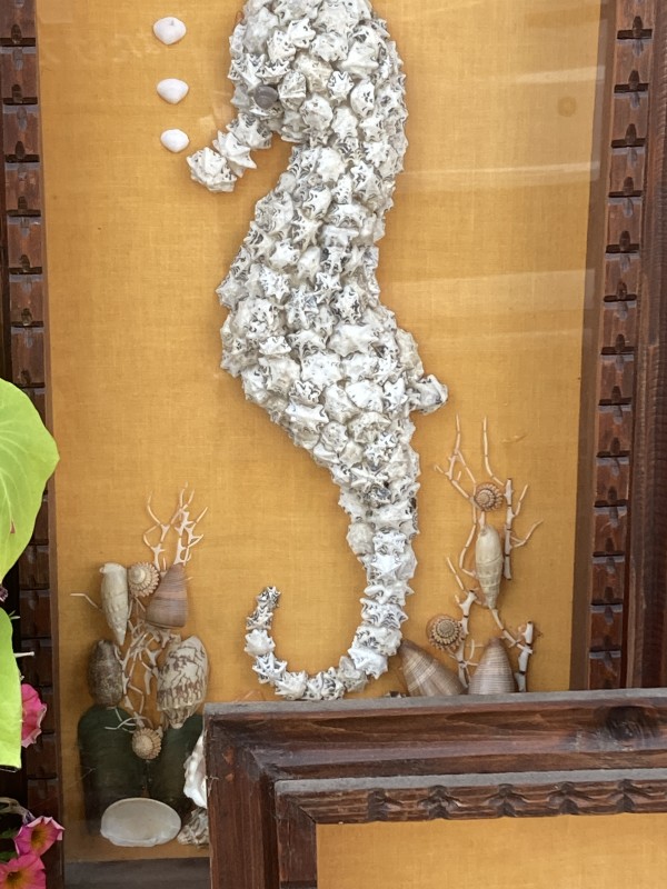 Pair of 1950's framed  seahorse shell art