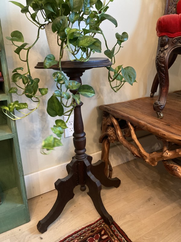 walnut Victorian era plant stand