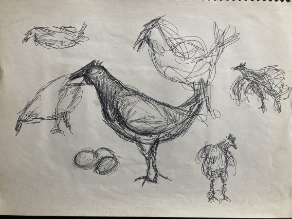 Ink drawing of chickens by James Quentin Young