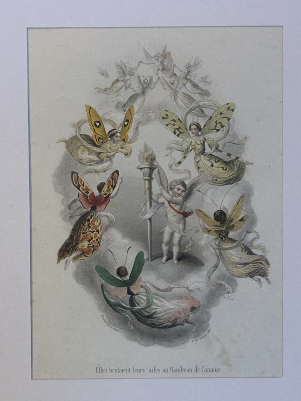 Hand colored Fairy steel engraving circa 1830's