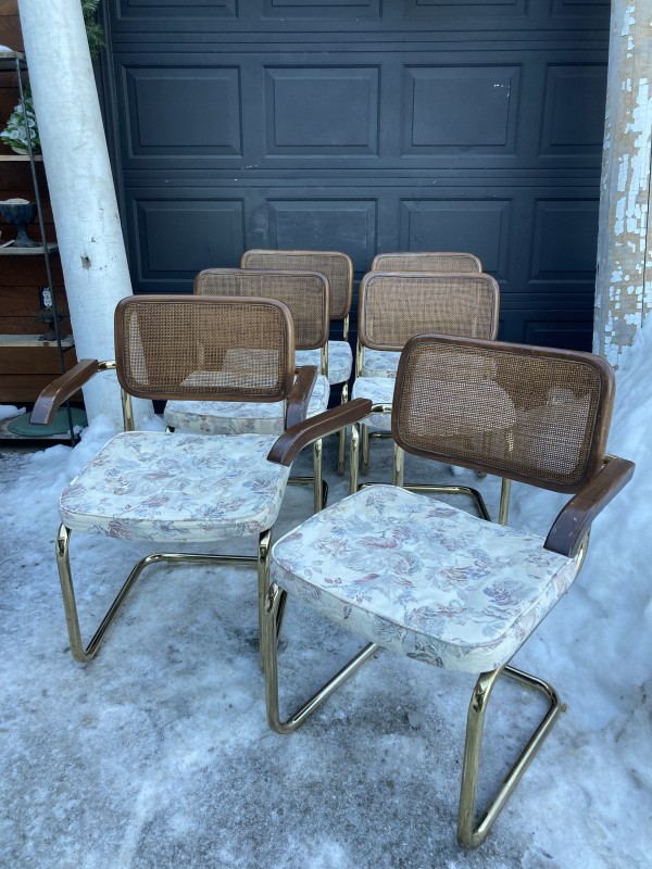 set of 6 Cesca chairs