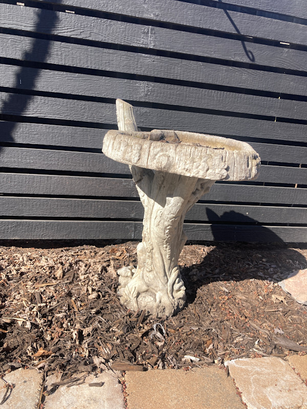 Cement garden bird bath