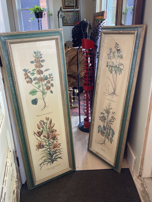 Framed pair of botanicals