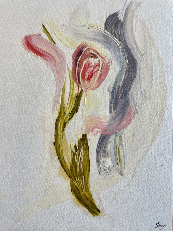 Tulip by Marine Strage
