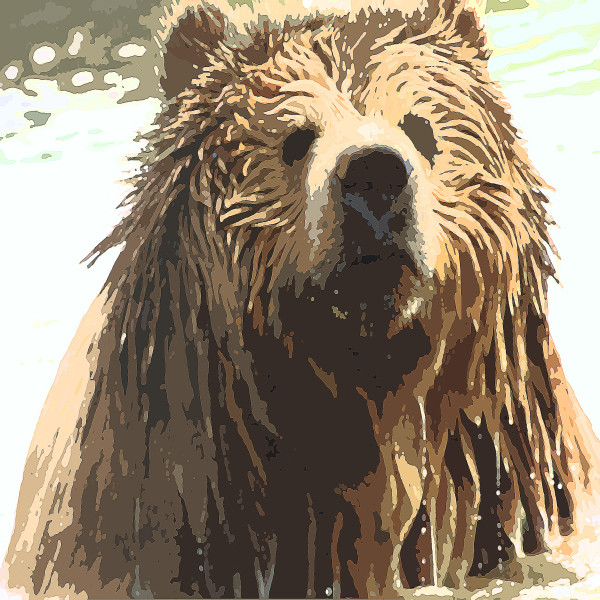 Grizzly Bear by Gina Godfrey