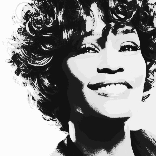 Whitney Houston by Gina Godfrey